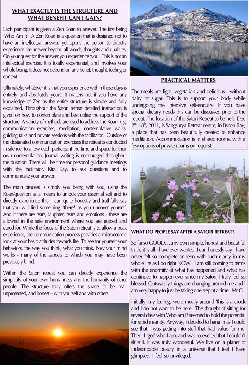Satori_flier_2011-2