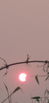 eclypse eclypse